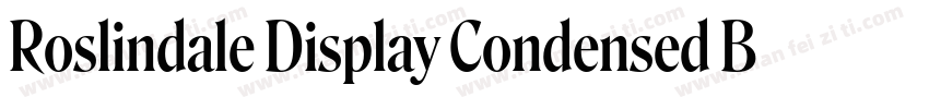 Roslindale Display Condensed Bold字体转换